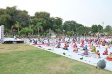 International Yoga Day Camp at IVRI