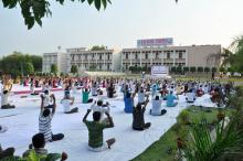 International Yoga Day Camp at IVRI