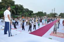 International Yoga Day Camp at IVRI